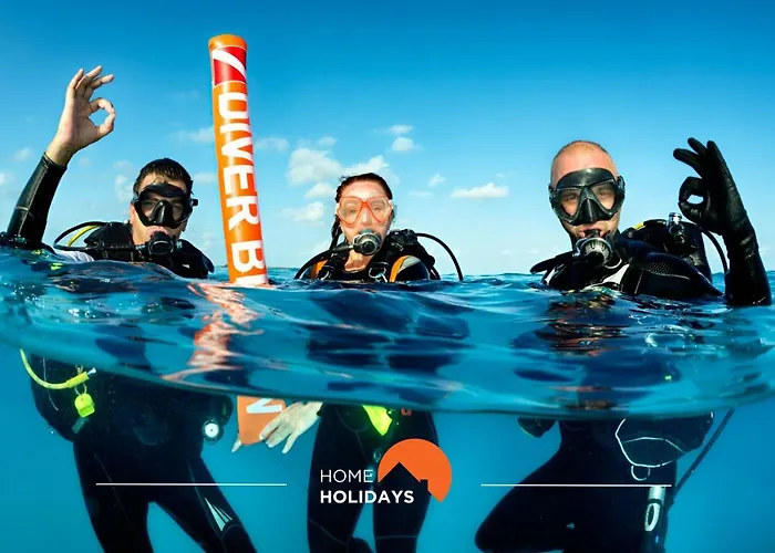 #020 Medronheira By Holidays *